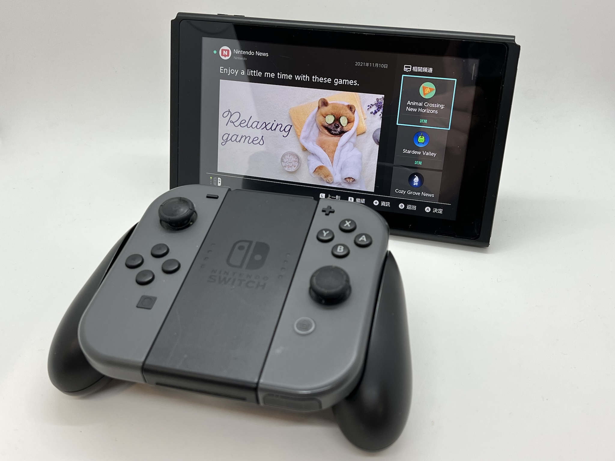 Switch Console with controllers, Borrow in rentolf